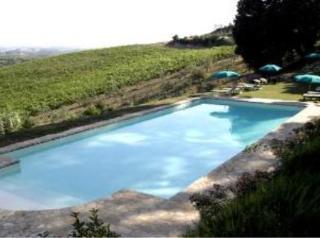 Agriturismo Bio Fattoria Bacio تْشيرتالدو المظهر الخارجي الصورة