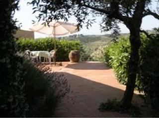 Agriturismo Bio Fattoria Bacio تْشيرتالدو المظهر الخارجي الصورة